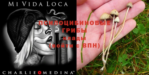 ПСИЛОЦИБИНОВЫЕ ГРИБЫ Алзамай