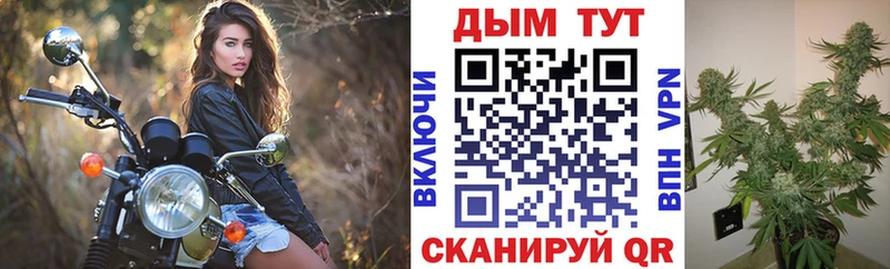 купить наркотики сайты Нижняя Салда Бошки марихуана Bruce Banner